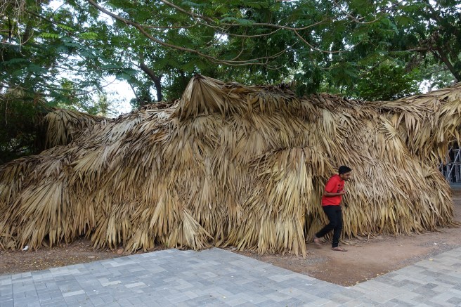 Neiburgis Palmblatt 2 besser